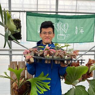 日式門簾設計28